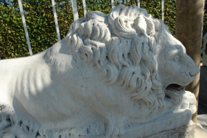 Paar 19de eeuwse Canova- leeuwen