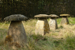 Een groep van 4 Ham- steen staddle stones
