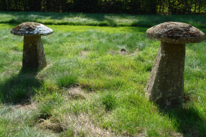 A pair of early 19th century staddle stones