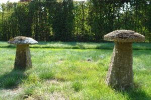 A pair of early 19th century staddle stones