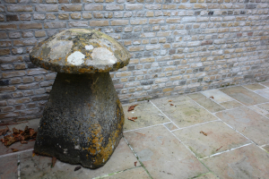 18de eeuwse Cotswolds- steen staddle stone