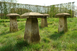 4 Edwardian staddle stones