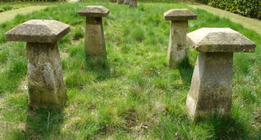 4 Edwardian staddle stones